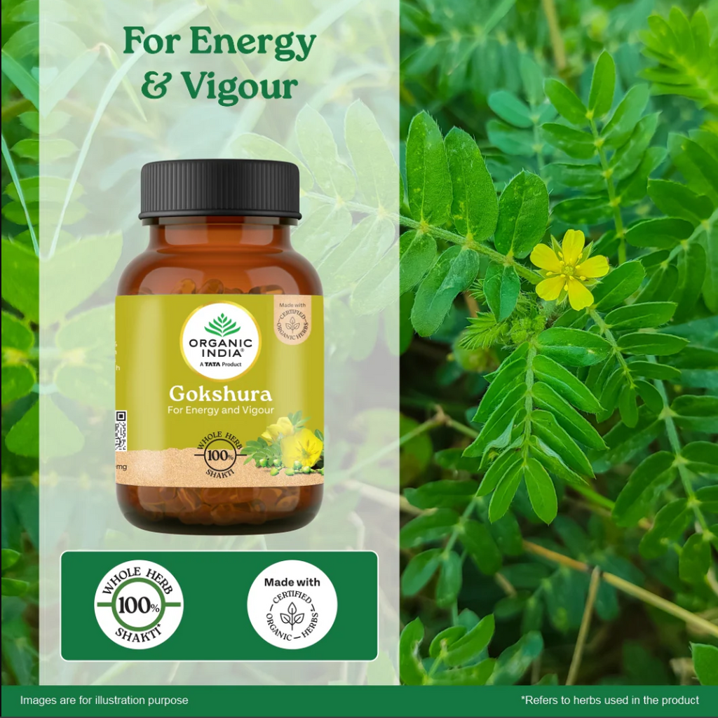 Gokshura 60 capsule