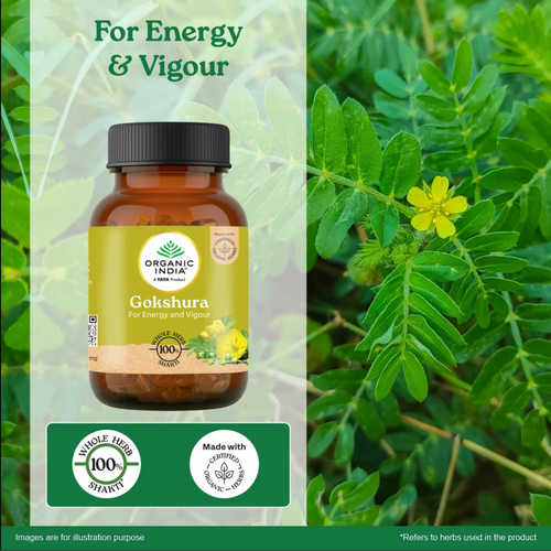 Gokshura 60 capsule